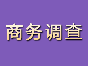 门头沟商务调查